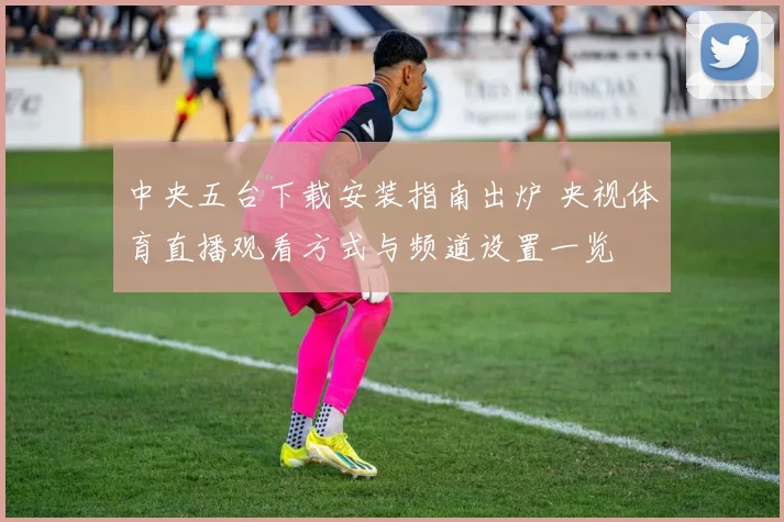 中央五台下载安装指南出炉 央视体育直播观看方式与频道设置一览
